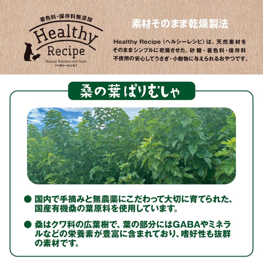 GEX（ジェックス） ヘルシーレシピ 桑の葉ぱりむしゃ 10g おやつ