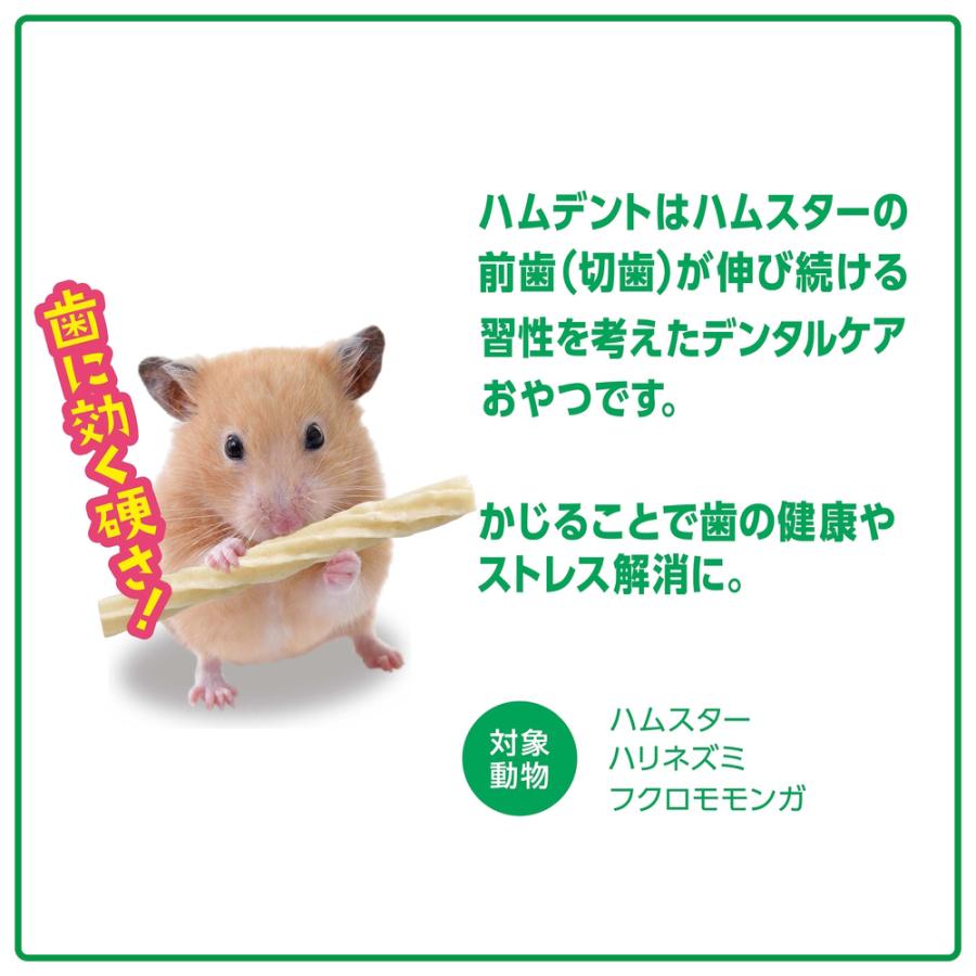 GEX（ジェックス） ハムデント アップル 12g デンタルケア かじる