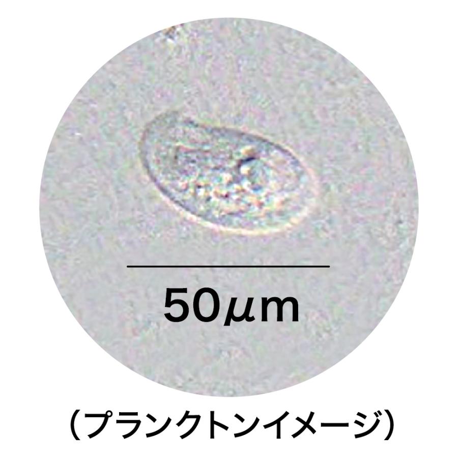 メダカ元気 GEX メダカ元気 生きたプランクトンフード 15g