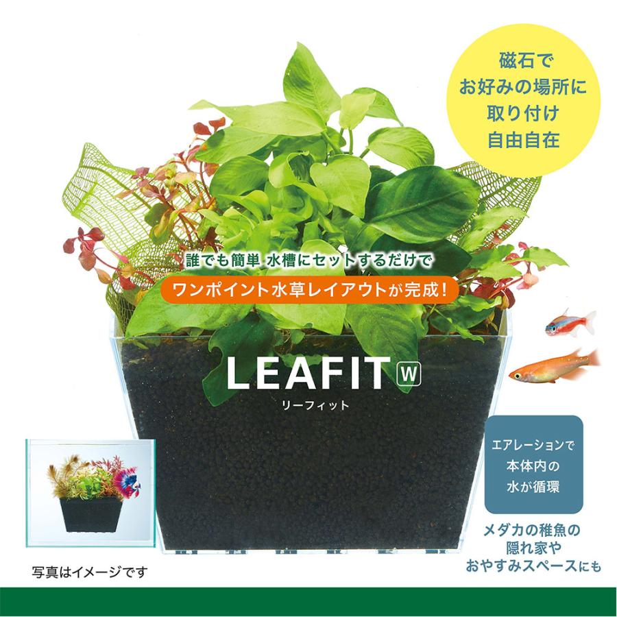 ＧＥＸ　リーフィット　Ｗ　１６×８×１０．５ｃｍ　水草　マグネット　植栽　レイアウト　簡単 | GEX | 09