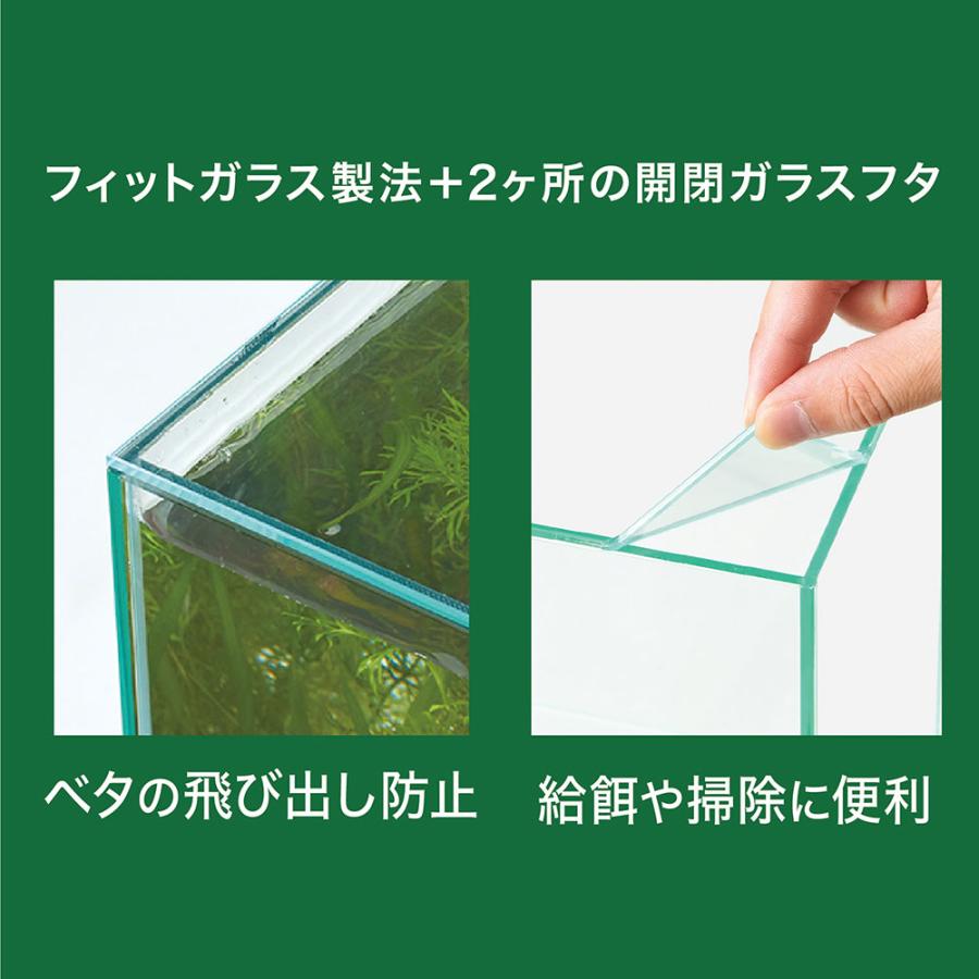 GEX ガラス水槽 グラステリアフィット ベタ 150×3 小型水槽