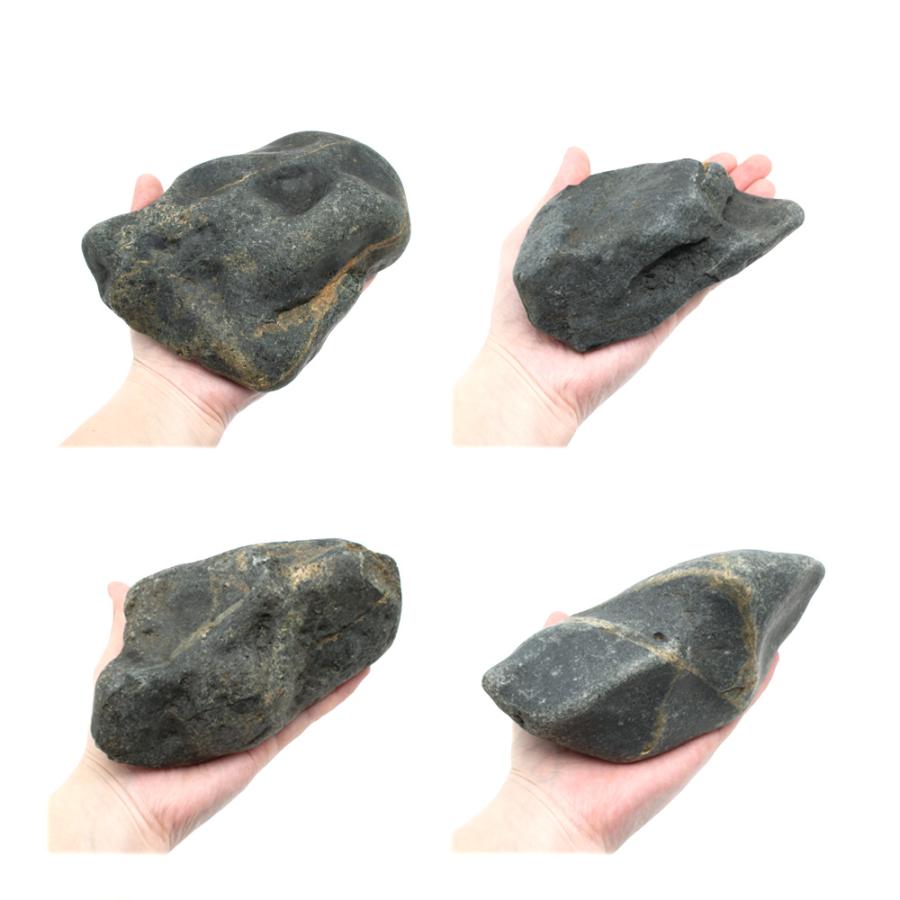碧海石 Mサイズ 約13〜18cm 3個 形状お任せ アクアリウム