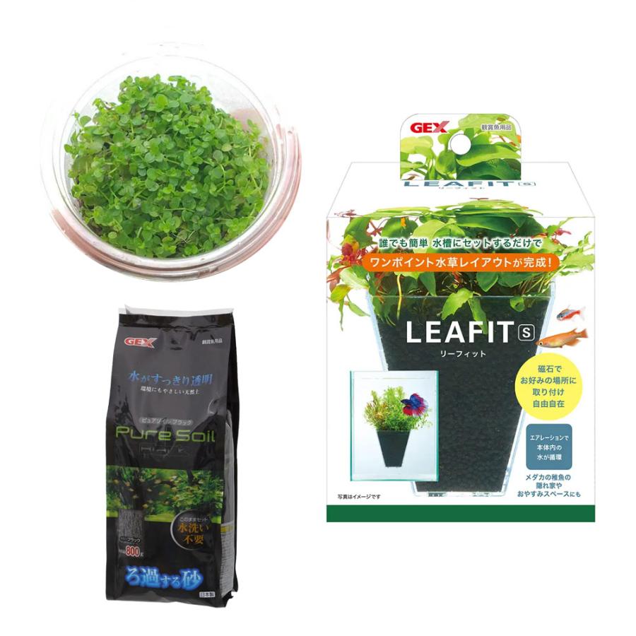 水草 Mini 303733-1.jpg