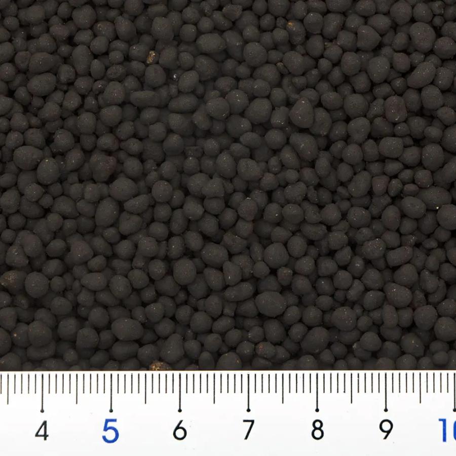 水草）リーフィットSで作る簡単水草レイアウト ニューラージパール