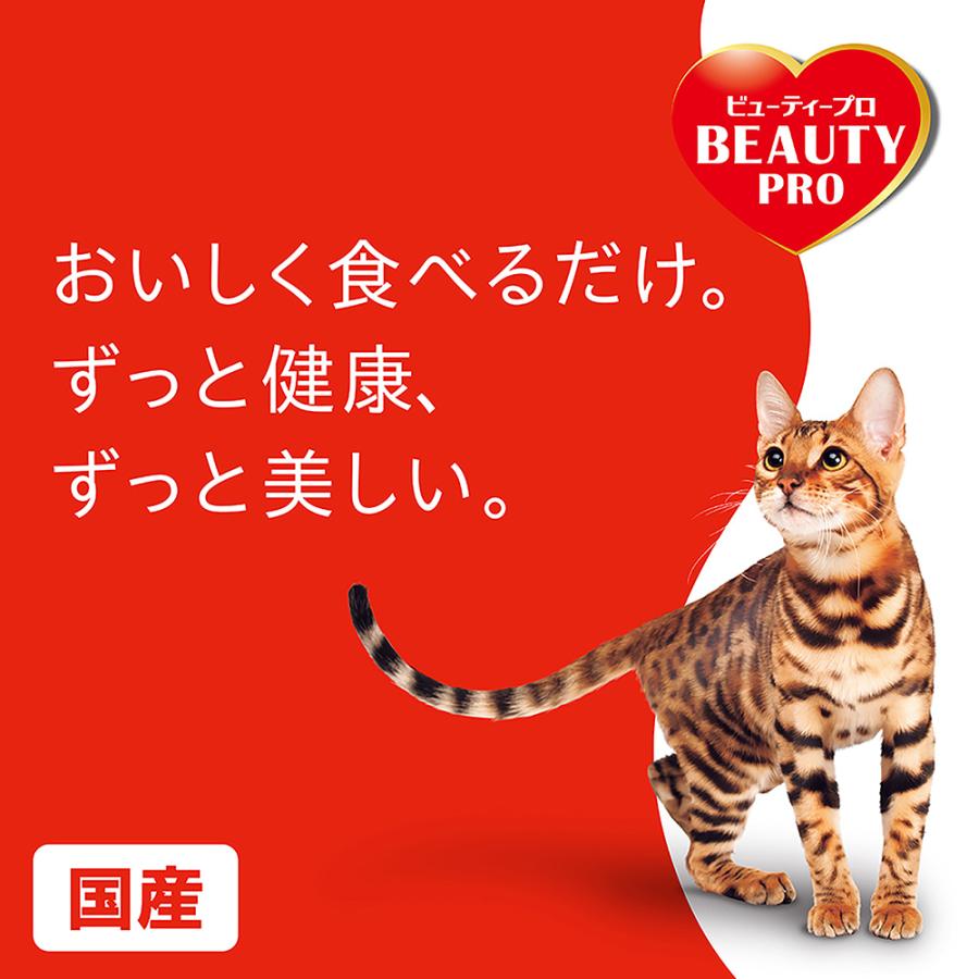 ビューティープロ キャットフード ビューティープロ キャット Wケア 