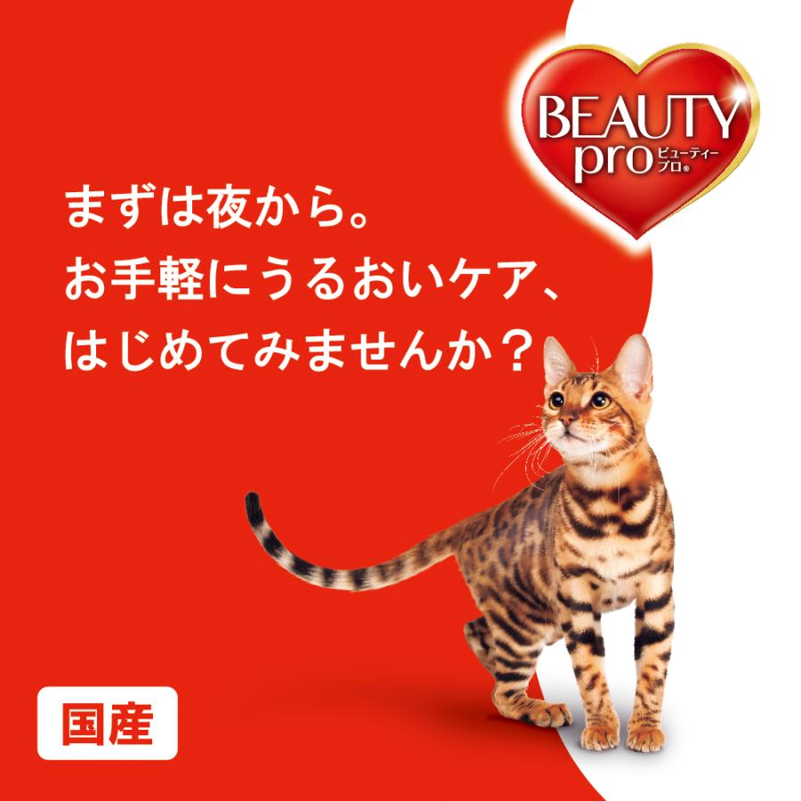ビューティープロ キャットフード ビューティープロ キャット パウチ