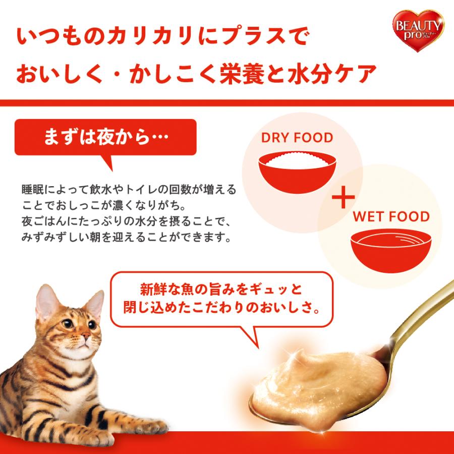ビューティープロ キャットフード ビューティープロ キャット パウチ