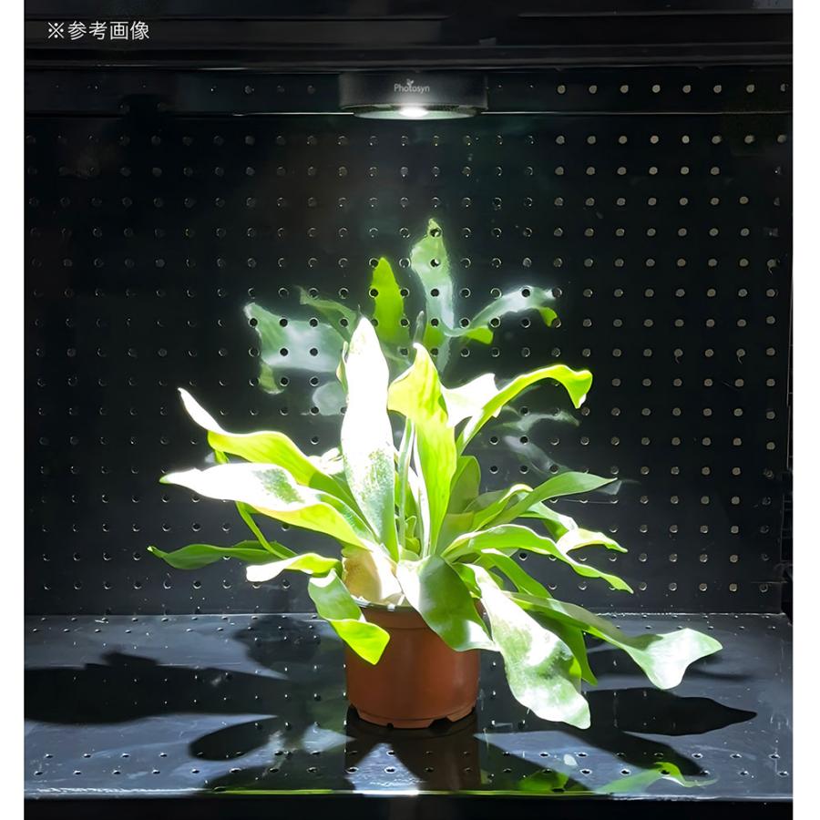 ZOOX Apollo Magnetic Exotic Plant 15W
