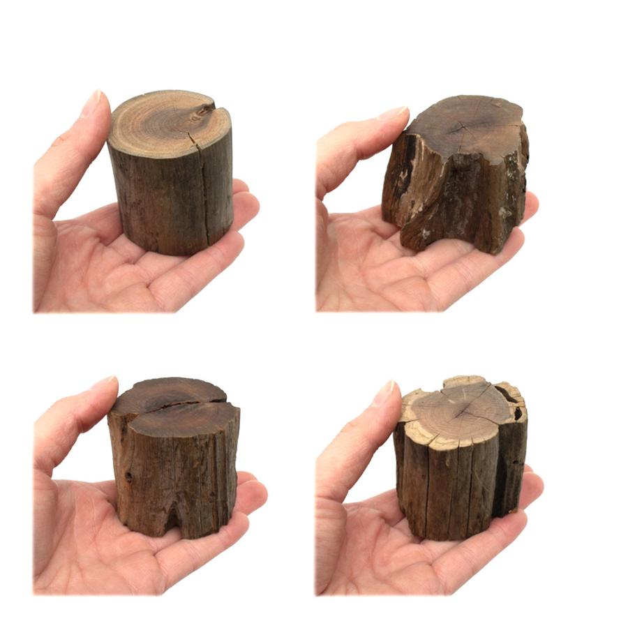 煮込み済み 切り株流木 Mサイズ 約4．5〜6．5cm Highタイプ