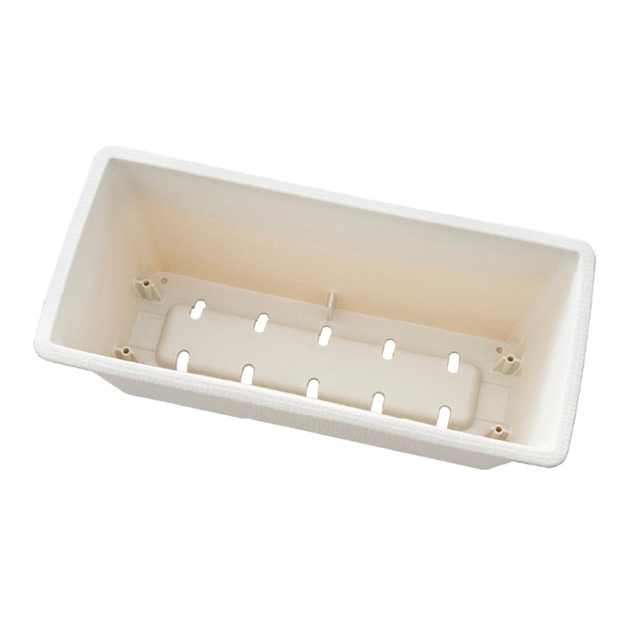 たんぽぽ栽培セット！小動物 リクガメ うさぎ 説明書付き 家庭菜園 お