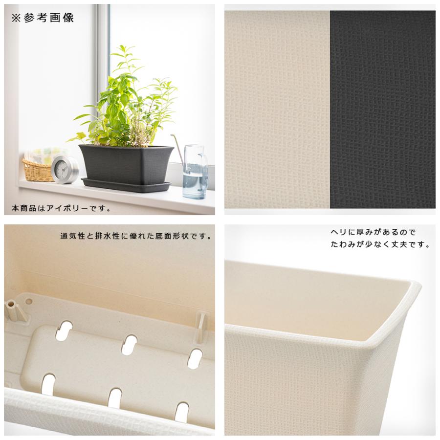 うさぎねこ】植栽4点セット、ポポラス 160㎝前後 うさぎねこ様専用】植