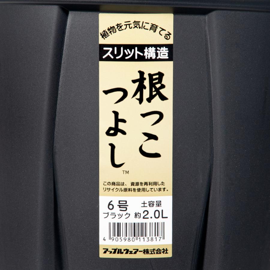 アップルウェアー　根っこつよし　６号　ブラック　スリット鉢　植木鉢　黒｜chanet｜04