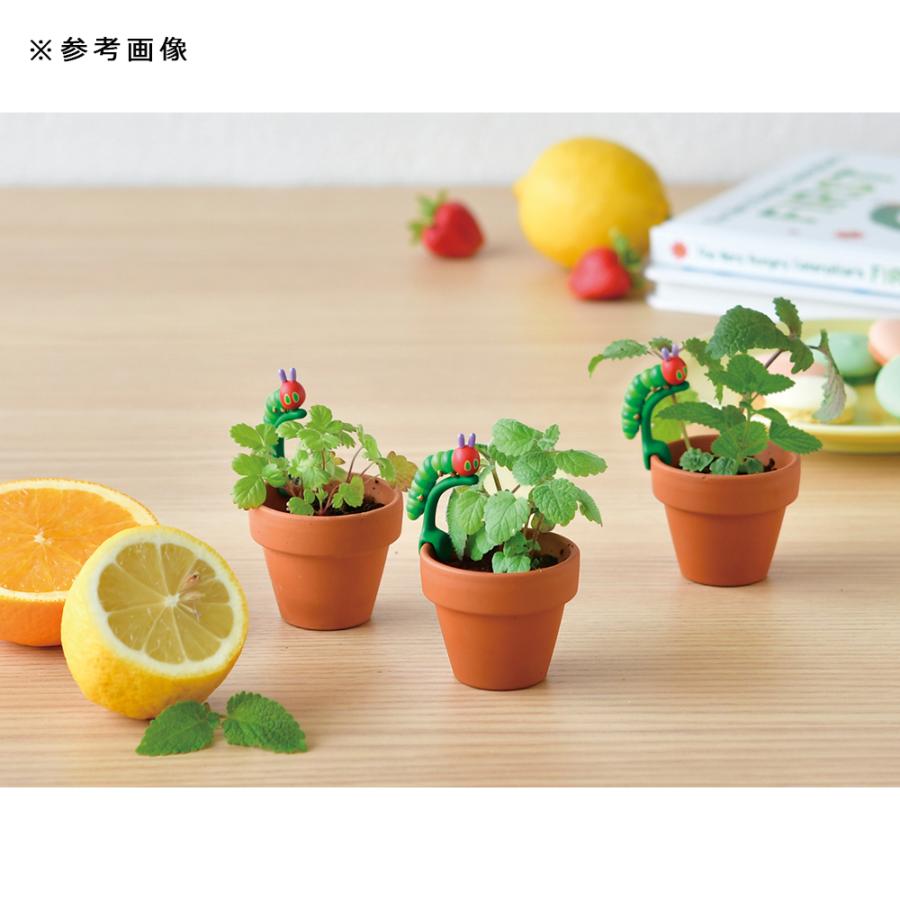 聖新陶芸 はらぺこあおむし もぐもぐガーデン栽培セット レモンバーム