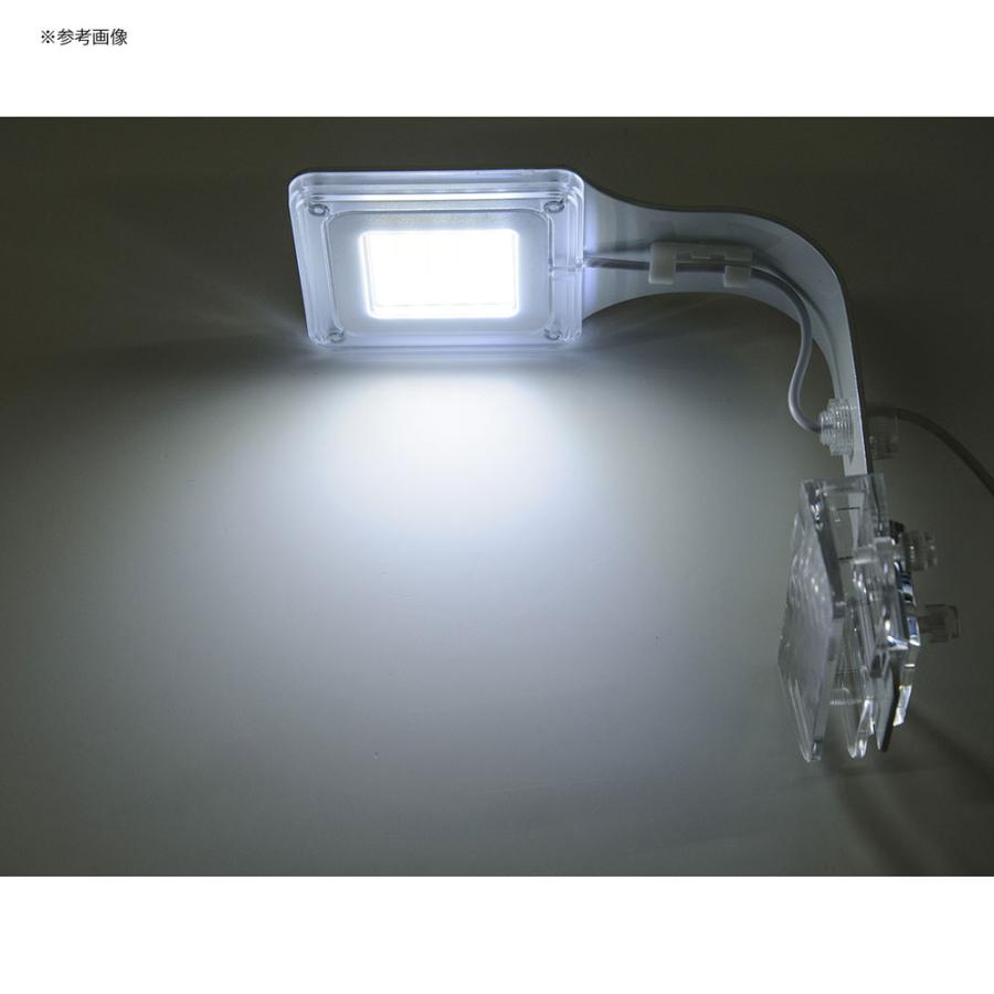 アクアシステム AXY SWAN SHORT LED 5W ホワイト