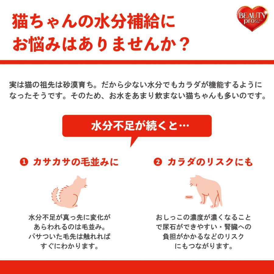 キャットフード ビューティープロ キャット パウチ 介護期用高栄養食