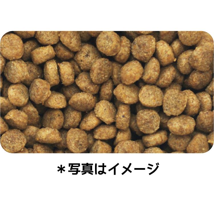 ドッグフード　イースター　ウェルケア　パグ専用　アダルト〜シニア　５．５ｋｇ | ウェルケア | 01