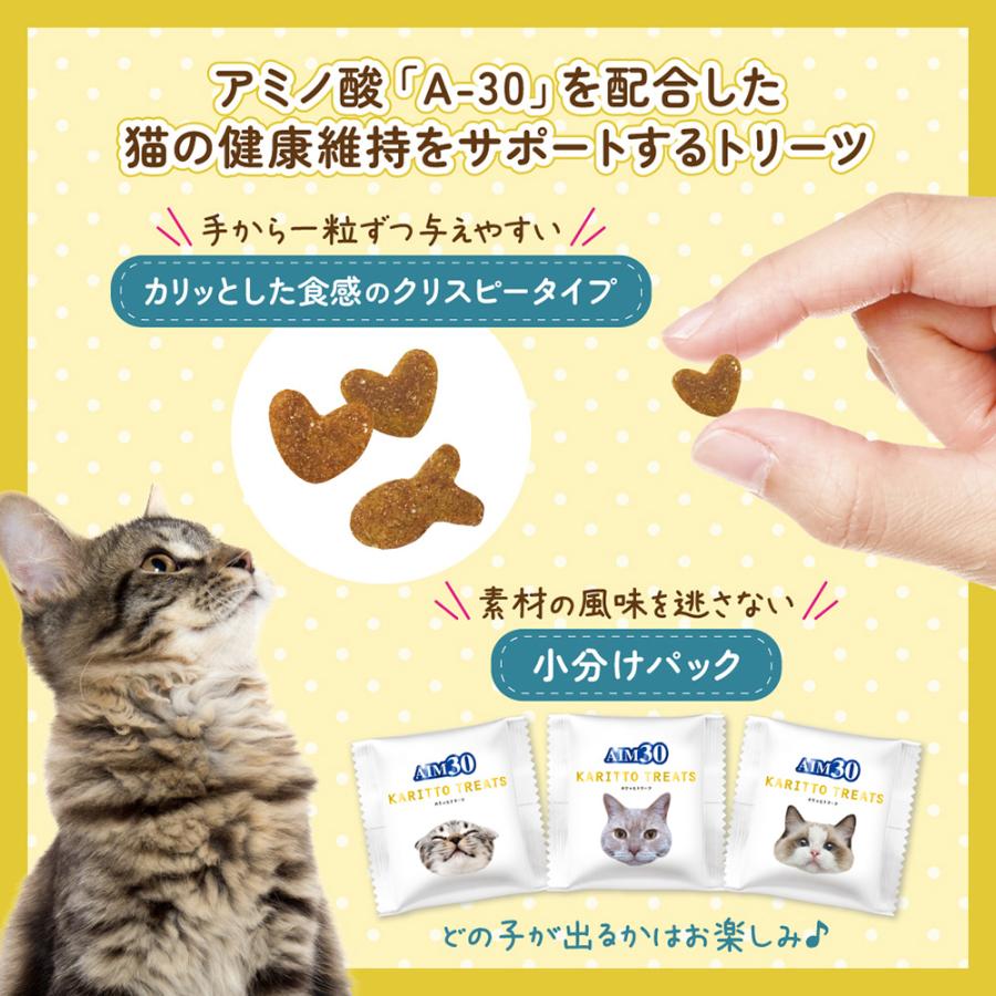 AIM30 キャットフード AIM30 カリッとトリーツ 2種のアソート