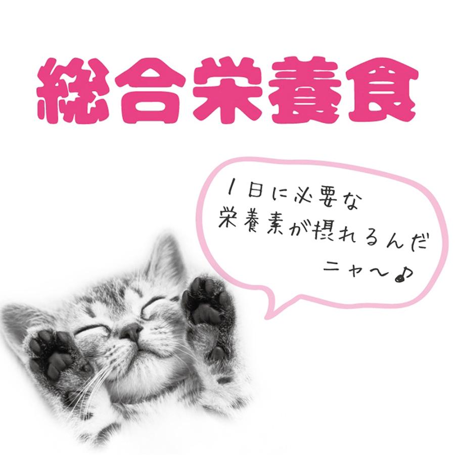 MiawMiaw アイシア ミャウミャウジューシー やわらかビーフ 60g