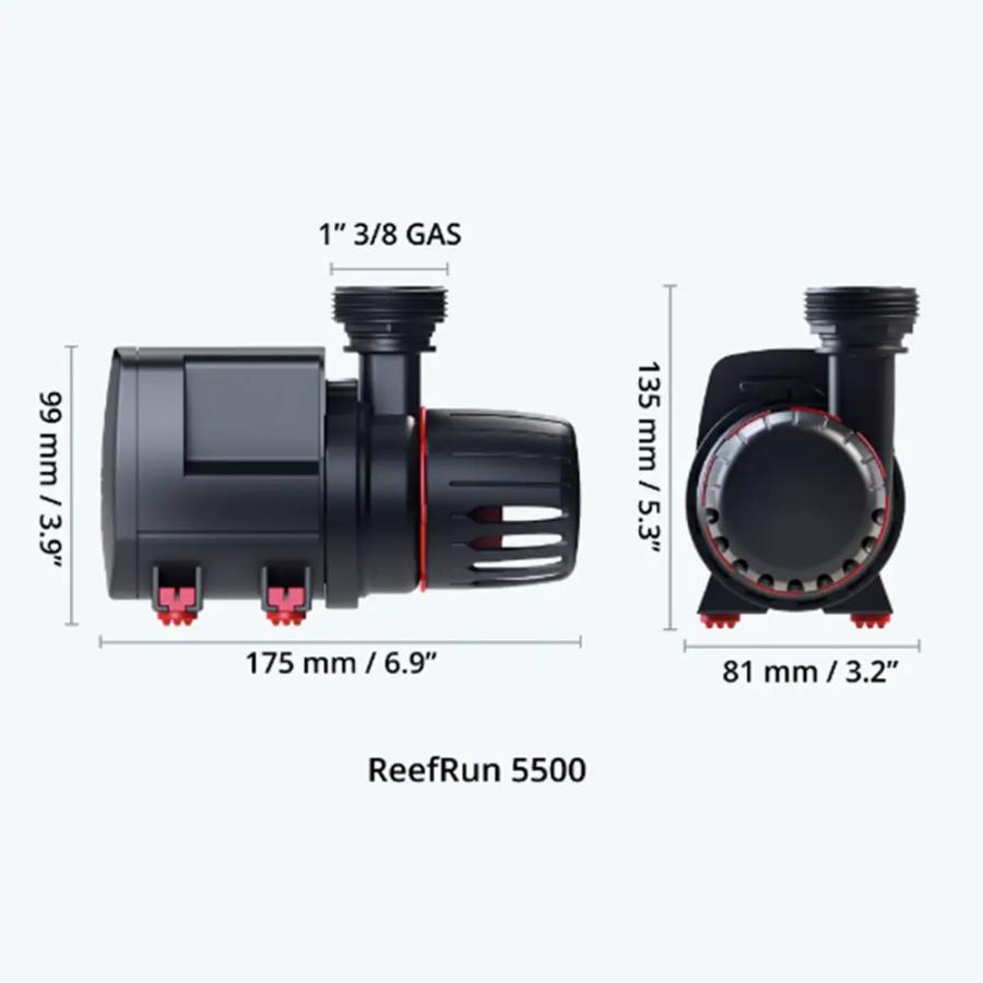 超大型）レッドシー REEFER MAX 250 G2＋ ブラック（旧