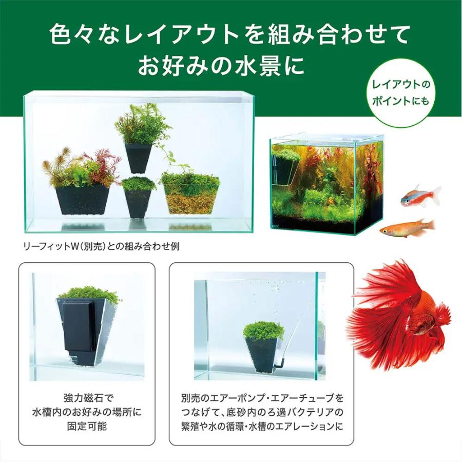 GEX ガラス水槽 グラステリアフィット ベタ 150＆リーフィット