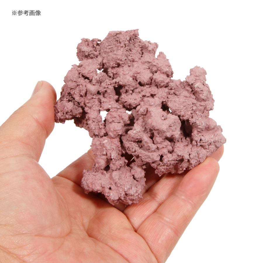 マメデザイン マメライブロック プレート 1／3 パープル : チャーム