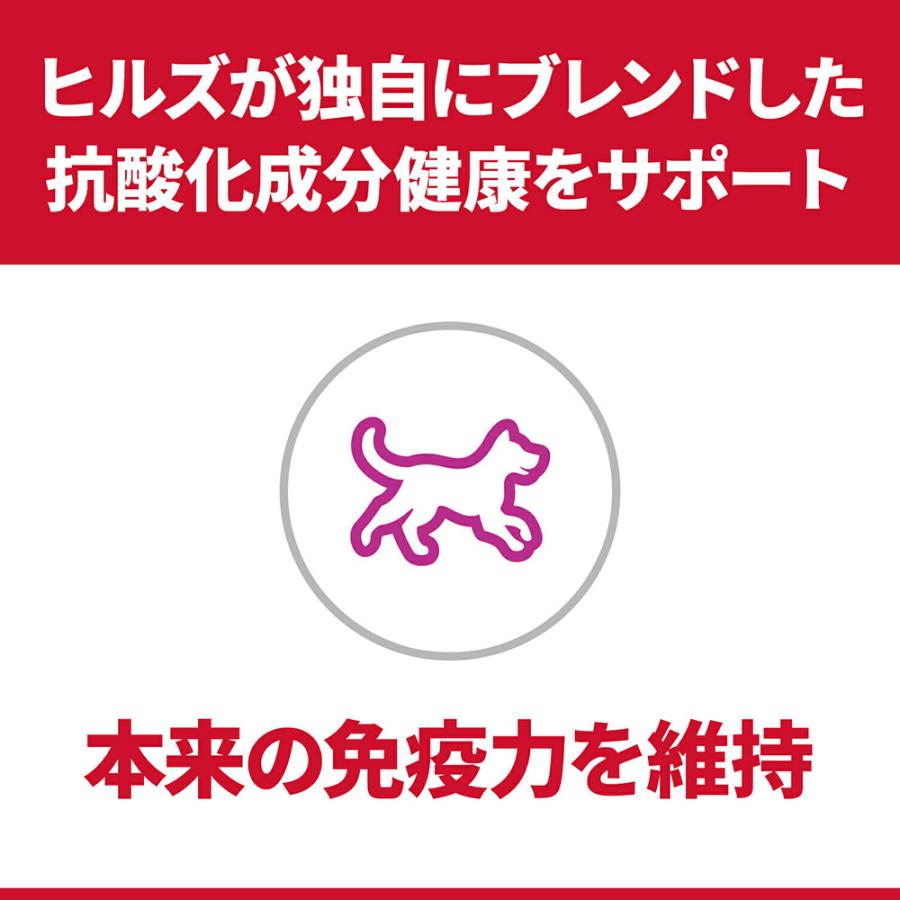 ドッグフード　サイエンスダイエット　小型犬用　アダルト　１〜６歳　成犬用　チキン　５ｋｇ×２　ヒルズ　犬 |  | 02