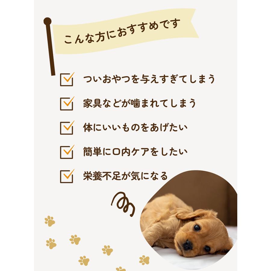 Ｔａｉｌ　Ｔｒｅａｔｓ　無添加　牛肉チップス（鹿肉入り）　４枚 |  | 03