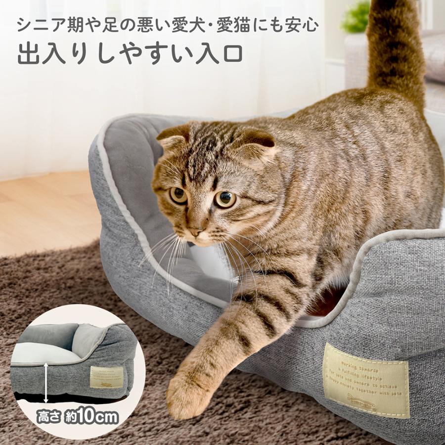 ペットプロ　Ｈｏｍｅｙ　オールシーズンスクエアベッド　Ｍ　ブラウン | PetPro | 06