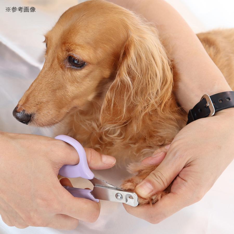 ペッツルート やさしい犬用爪切り 日本製 : チャーム charm ヤフー店