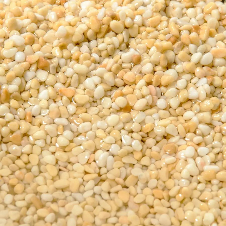 ❲廃盤·未使用❳ サモア Sandy Gold 5kg 2袋セット 水草用底砂 ジュン JUN カモミールサンド 5kg 砂利 アクアリウム 底砂