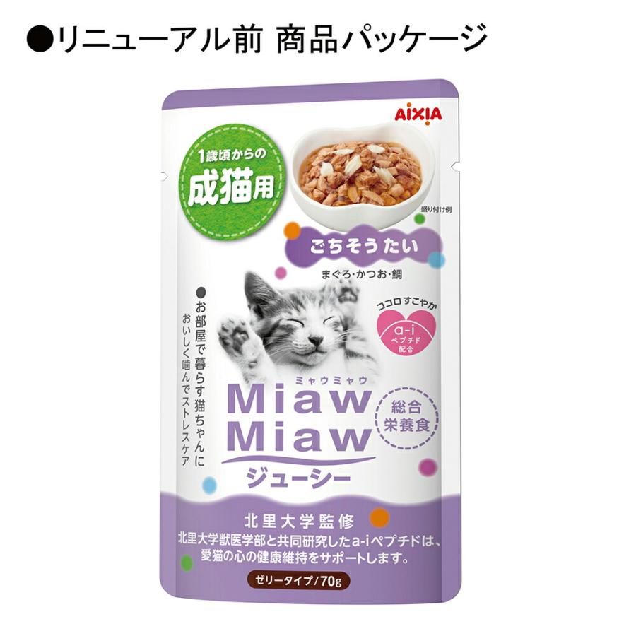 キャットフード　アイシア　ミャウミャウジューシー　ごちそうたい　６０ｇ×１２０ |  | 06