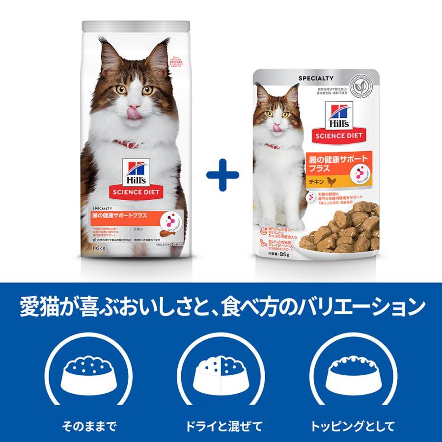 キャットフード サイエンスダイエット 腸の健康サポートプラス 1歳