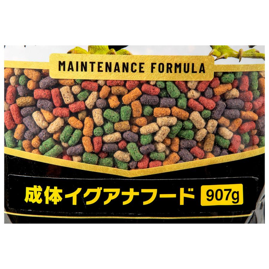 ビバリア レップカル 成体イグアナフード 907g : チャーム charm