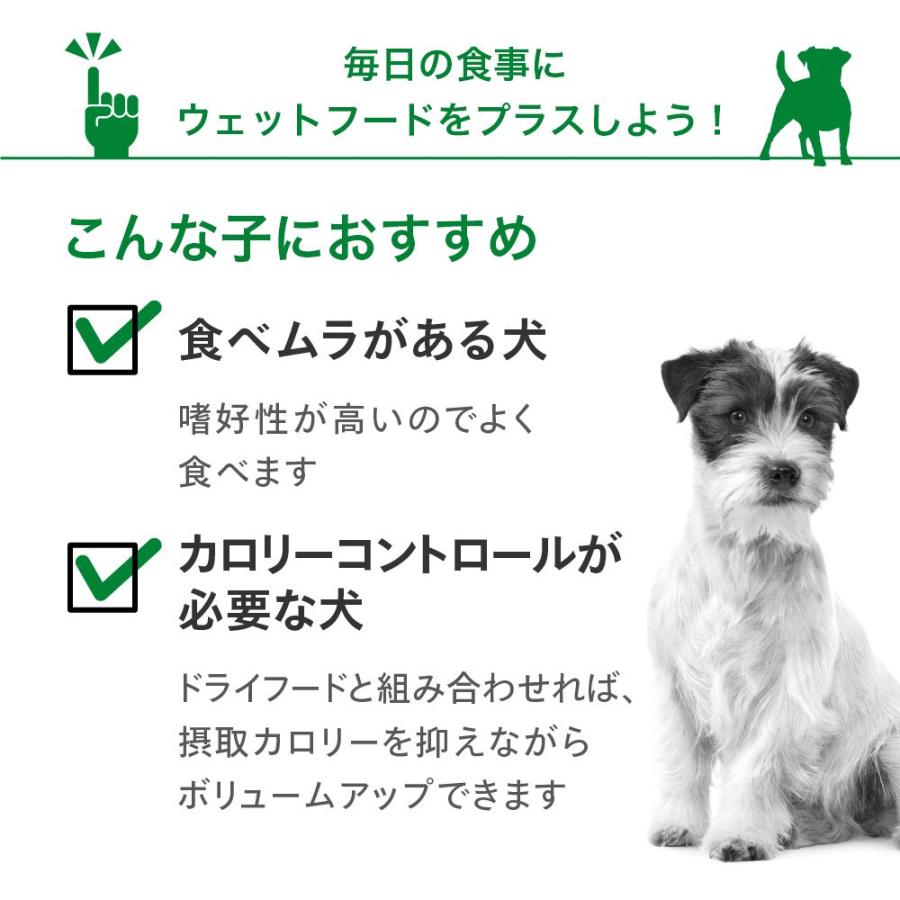 ロイヤルカナン（ROYAL CANIN） 柴犬用 成犬セット（生後10カ月齢