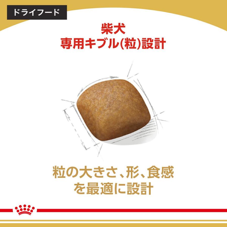 ロイヤルカナン（ROYAL CANIN） 柴犬用 成犬セット（生後10カ月齢