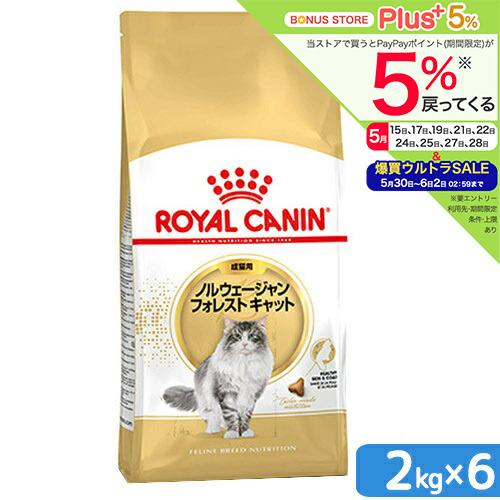 ロイヤルカナン（ROYAL CANIN） 猫 ノルウェージャン フォレスト