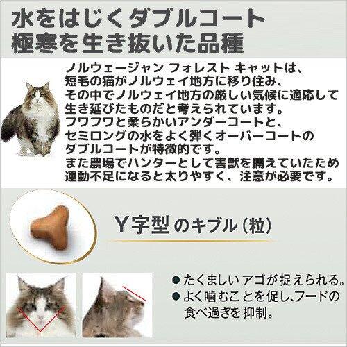 ロイヤルカナン（ROYAL CANIN） 猫 ノルウェージャン フォレスト