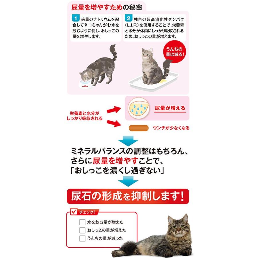 ロイヤルカナン　猫　ユリナリー　ケア　健康な尿を維持したい成猫用　生後１２ヵ月齢以上　２ｋｇ×６　ジップ付（キャットフード　ドライ）　お一人様１点限り | ロイヤルカナン | 03