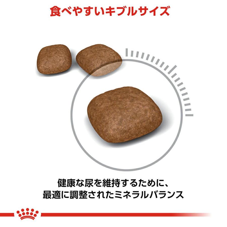 ロイヤルカナン　猫　ユリナリー　ケア　健康な尿を維持したい成猫用　生後１２ヵ月齢以上　２ｋｇ×６　ジップ付（キャットフード　ドライ）　お一人様１点限り | ロイヤルカナン | 06