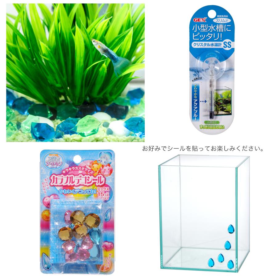 熱帯魚飼育用品 熱帯魚）飼育セット グッピーセット guy〜水〜 おまけ付 本州四国