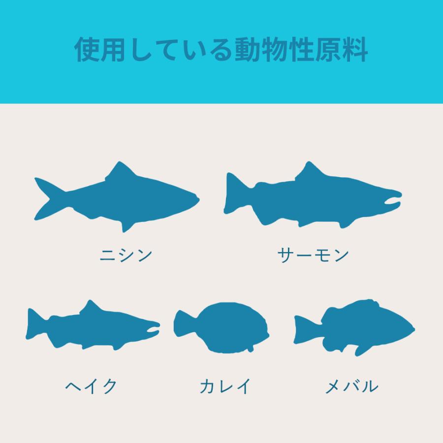 アカナ　パシフィカドッグレシピ　６ｋｇ　正規品　ドッグフード