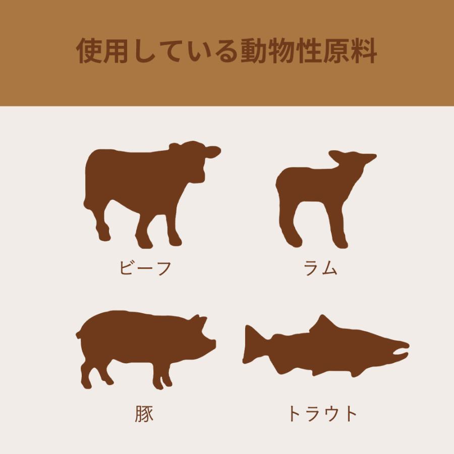 アカナ　ランチランドドッグレシピ　６ｋｇ　正規品　ドッグフード | ACANA | 02