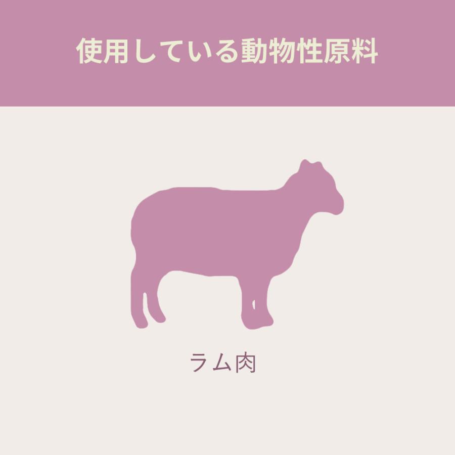 ACANA（アカナ） グラスフェッドラム 11．4kg 正規品