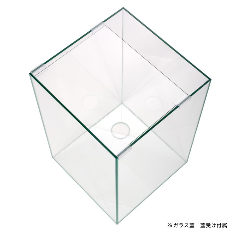 オーバーフロー水槽 30×30×40 プレココーポレーション オーバーフロー水槽 クロミス30（30×30