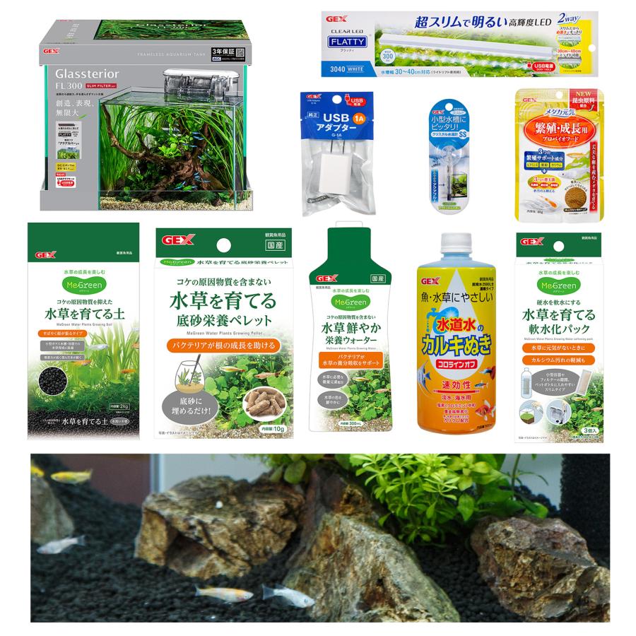 めだか）（水草）飼育セット GEX ガラス水槽 グラステリア