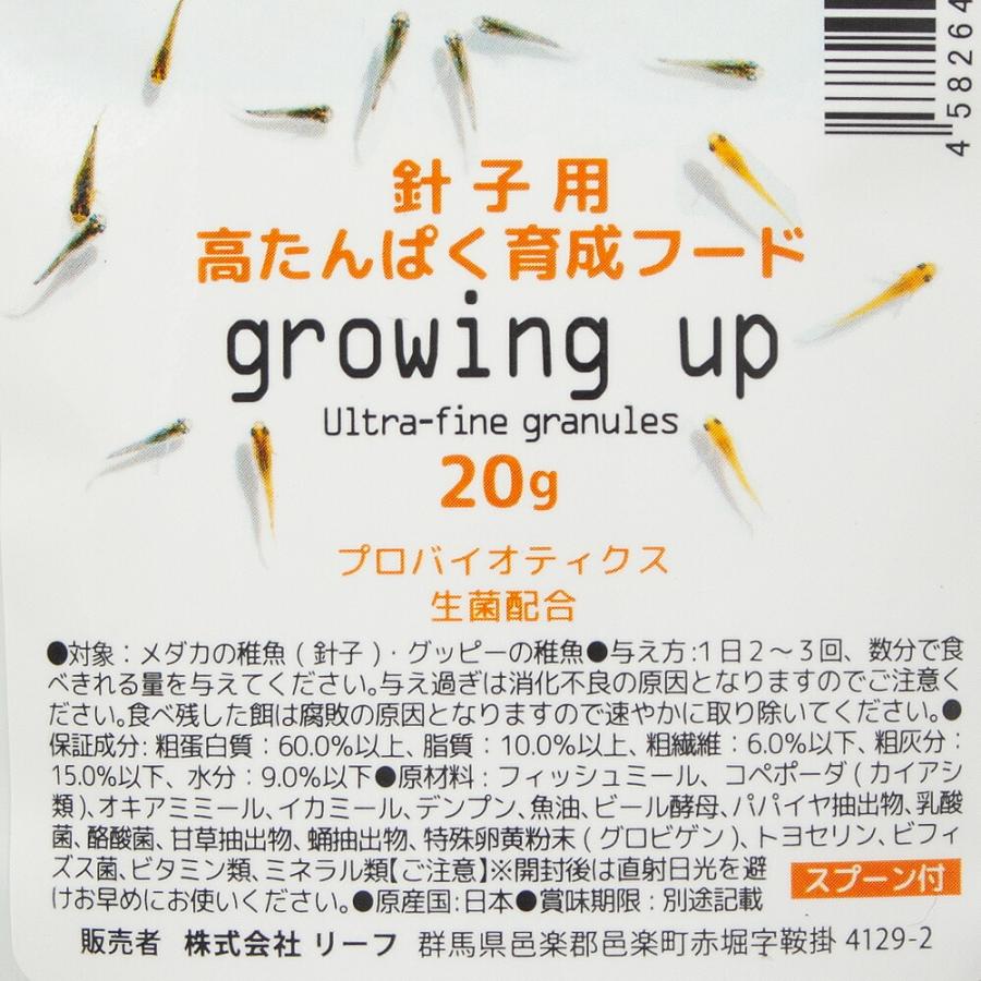 GEX メダカ元気 卵のお守り産卵床 4色セット＋ff num900