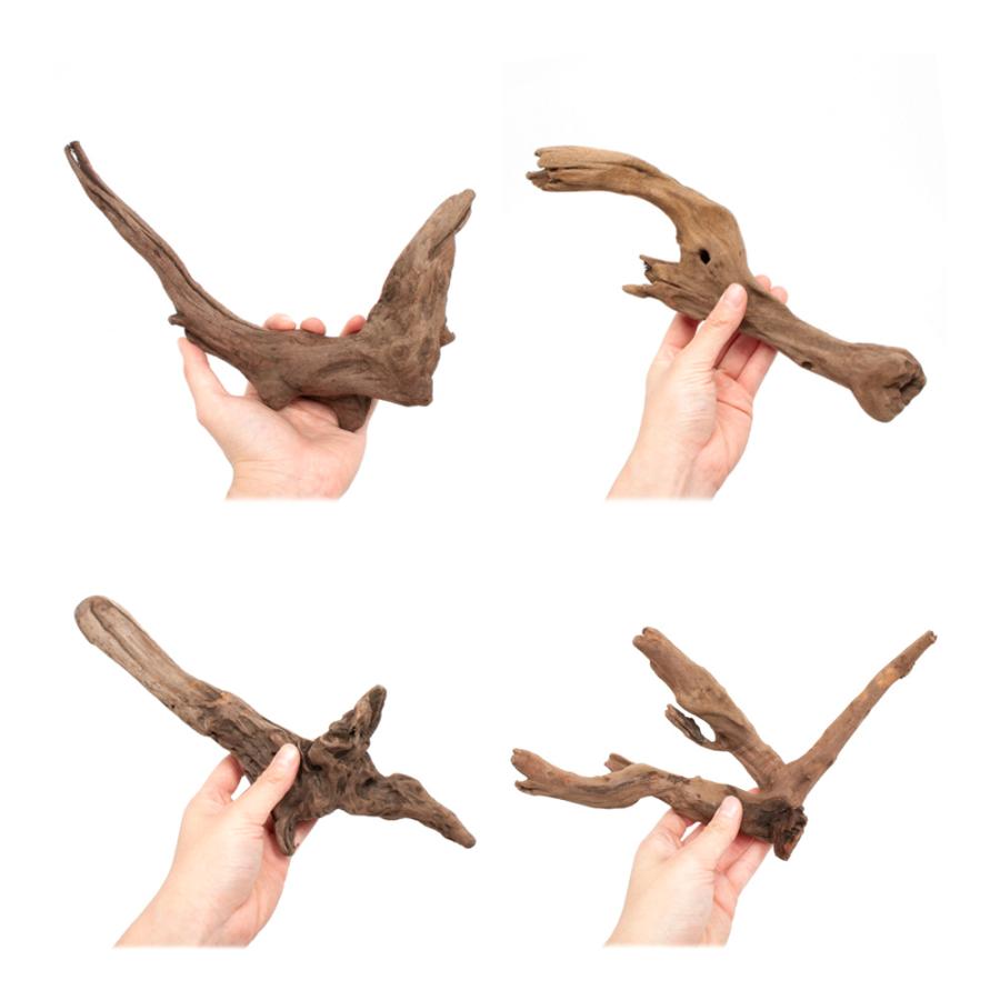 ☆ライステ新品☆みんな大好き 極低シャリー純正フォークアウター改6CMカット☆ ☆ライステ新品☆みんな大好き 極低シャリー純正フォーク