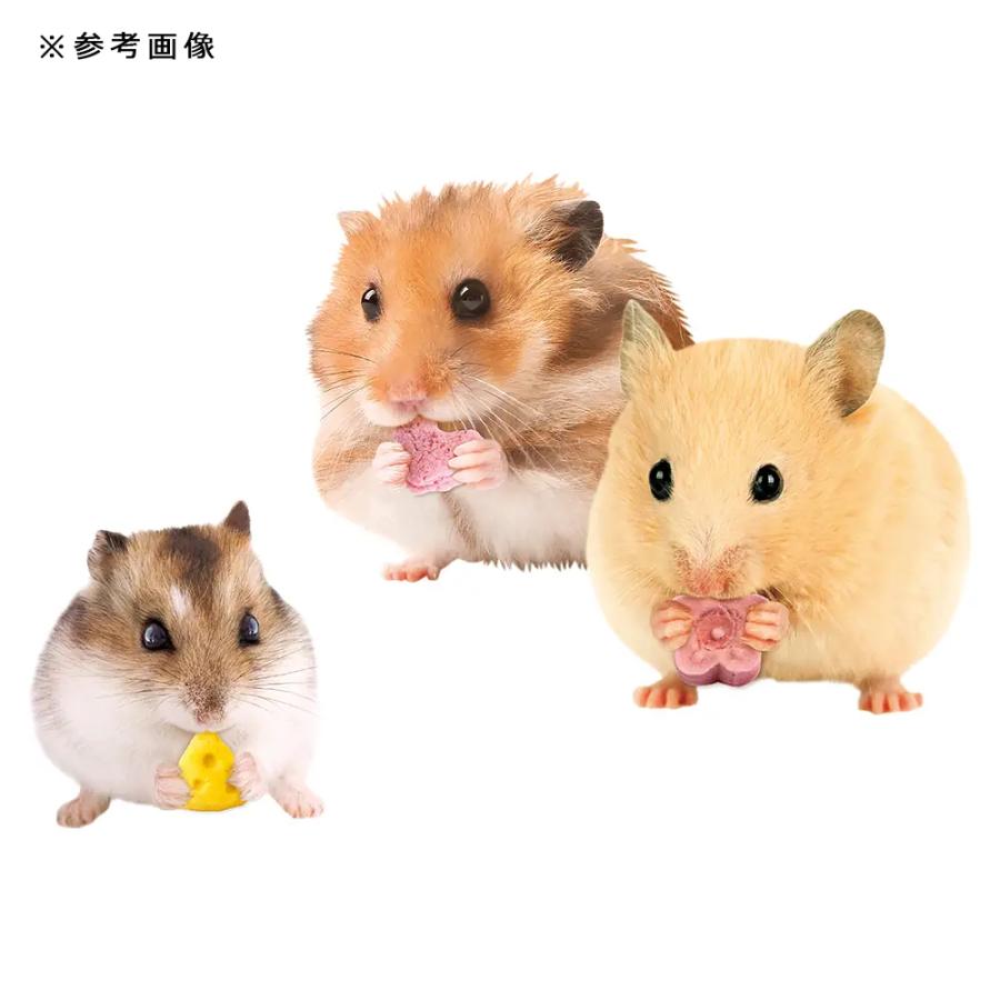 ミニマルランド マルカン ハムちゃんのプチ贅沢アソート Cセット 3種