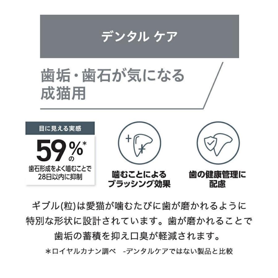 ロイヤルカナン　猫　デンタルケア　歯垢・歯石が気になる成猫用　１．５ｋｇ×６　お一人様１点限り | ロイヤルカナン | 02