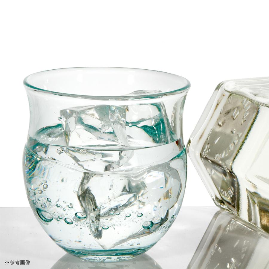 GEX（ジェックス） Requas リクアスグラス 金魚 ロックグラス